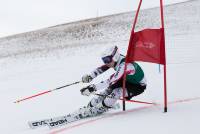 parallelslalom_anras_2019-78